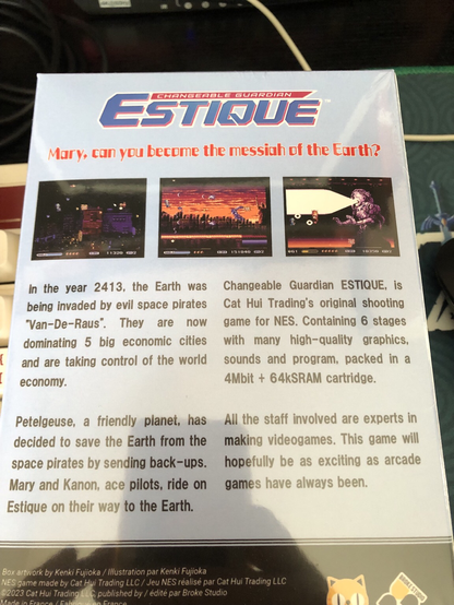 Changeable Guardian Estique box posteriore