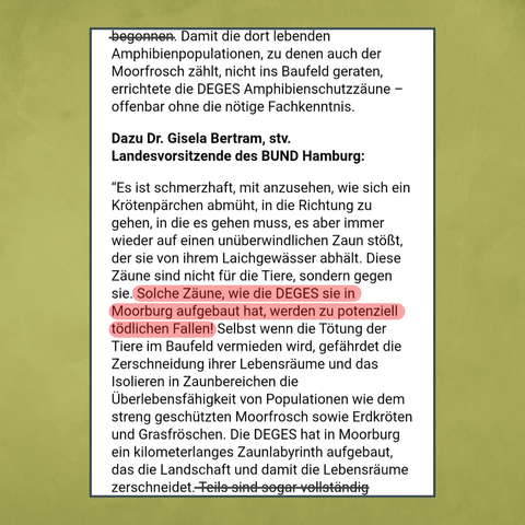 Fortsetzung des Ausschnittes des BUND Artikels: "Damit die dort lebenden Amphibienpopulationen, zu denen auch der Moorfrosch zählt, nicht ins Baufeld geraten, errichtete die DEGES Amphibienschutzzäune – offenbar ohne die nötige Fachkenntnis.
Dazu Dr. Gisela Bertram, stv. Landesvorsitzende des BUND Hamburg:
“Es ist schmerzhaft, mit anzusehen, wie sich ein Krötenpärchen abmüht, in die Richtung zu gehen, in die es gehen muss, es aber immer wieder auf einen unüberwindlichen Zaun stößt, der sie von ihrem Laichgewässer abhält. Diese Zäune sind nicht für die Tiere, sondern gegen sie. Solche Zäune, wie die DEGES sie in Moorburg aufgebaut hat, werden zu potenziell tödlichen Fallen! Selbst wenn die Tötung der Tiere im Baufeld vermieden wird, gefährdet die Zerschneidung ihrer Lebensräume und das Isolieren in Zaunbereichen die Überlebensfähigkeit von Populationen wie dem streng geschützten Moorfrosch sowie Erdkröten und Grasfröschen. Die DEGES hat in Moorburg ein kilometerlanges Zaunlabyrinth aufgebaut, das die Landschaft und damit die Lebensräume zerschneidet."