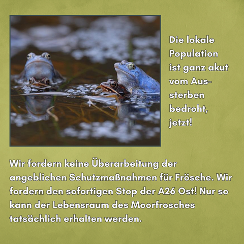 Neben einem Bild von 2 Moorfroschpärchen steht:  Die lokale Population ist ganz akut vom Aussterben bedroht, jetzt! 
Wir fordern keine Überarbeitung der angeblichen Schutzmaßnahmen für Frösche. Wir fordern den sofortigen Stop der A26 Ost! Nur so kann der Lebensraum des Moorfrosches tatsächlich erhalten werden.