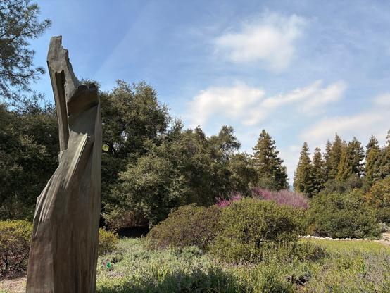 Natural garden landscape with a tall metal sculpture in the foreground. Behind it spreads a diverse garden with low shrubs, patches of purple flowering plants, and a backdrop of taller trees including evergreens. The scene is captured under a bright blue sky with scattered white clouds, creating a peaceful, natural setting with contrasting textures and heights.​​​​​​​​​​​​​​​​