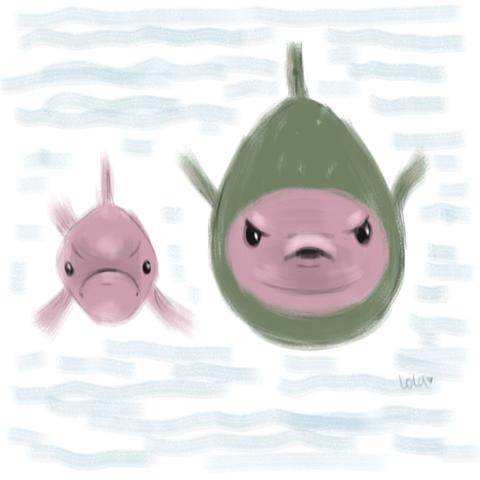 Digital drawing of two fishes looking forward.