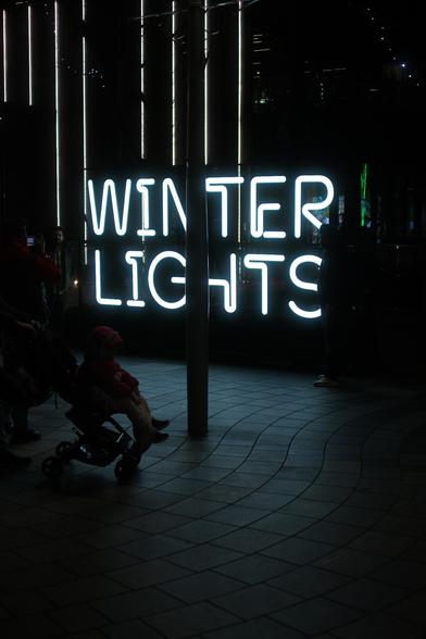 Neon Winterlights 2025 displays.