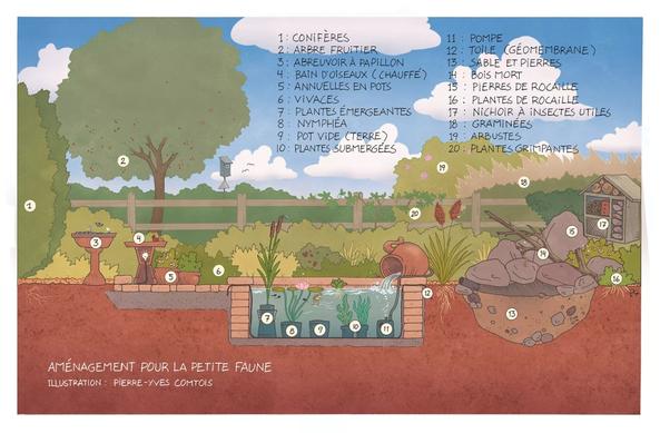 jardin pour la petite faune