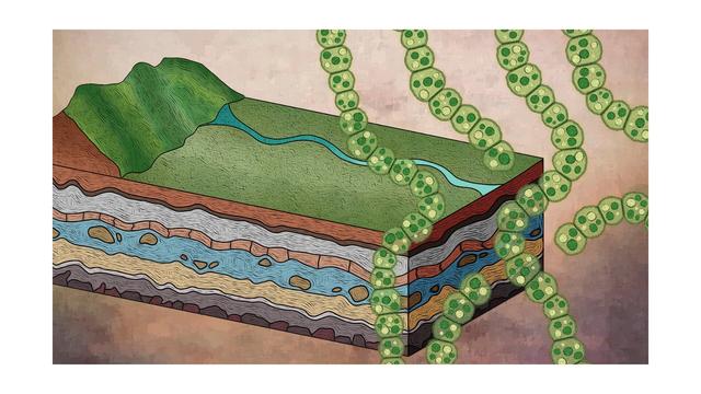 Illustration of chains of green bacteria and geologic layers