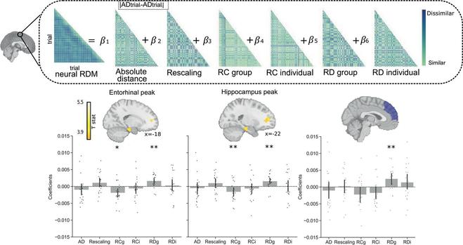 Egocentric anchoring-and-adjustment in the hippocampal formation. Top: Neural and behavioral representational dissimilarity matrices (RDMs) for the general linear model (GLM) searchlight analysis for one representative participant. The neural RDM was used as a dependent variable with six predictor behavioral variables. These six variables were the absolute distance between the stranger’s rating and the ratings of the groups that are being compared with the stranger (absolute distance, AD), the differences between self and others’ preferences (rating discrepancy, RD, with either groups or individuals), the cognitive demand of how far the stranger’s preference is away from the individual’s rating (rescaling), and the memory for self and others’ preferences (rating consistency, RC, for groups or individuals). Middle: Group activation maps for self vs. group rating discrepancy (RDgroup).  Bottom right: Beta coefficients of RSA GLM in ROI of dmPFC. Bars showing beta coefficients resulting from the GLM for each behavioral variable in the dmPFC, where there is a significant dmPFC effect for RDgroup (t(19) = 2.92, p = 0.008). Each dot represents an individual participant.