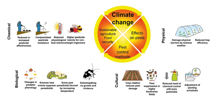 Figure 2 in Wakil et al. (2025): "Climate change effects on different pests and pest control methods, and its impact on food security and sustainable agriculture."