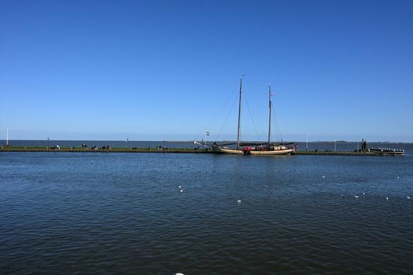 A calm waterfront scene featuring a large sailing ship docked at a pier. The bright blue sky contrasts with the water and green grass along the shoreline, where several people are visible enjoying the outdoors. Small waves and seagulls dot the water's surface.