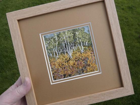 Stitched artwork depicting silver birch trees in early autumn. The leaves are still green but bracken in the foreground is shades of red, tellow and orange. Framed in a bare oak frame 8 inch square it is held in the artist's hand for scale