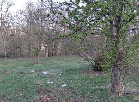 Photo of a park with some grass, a tree on the right and trees on the background, and a bunch of trash left on the ground: plastic bottles, plastic containers, cups, a bin bag