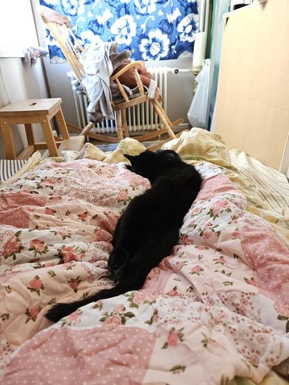 Alea the Black Cat sprawled out on top of me and my duvet, having the best sleep of her life.