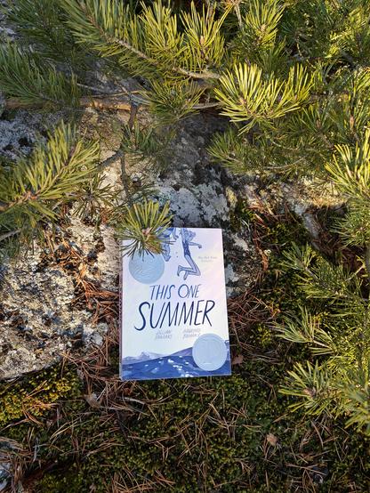 Kuvassa This One Summer -kirja kuvattuna kiven edessä. Havupuun oksat osuvat hieman kirjan kannen eteen.
