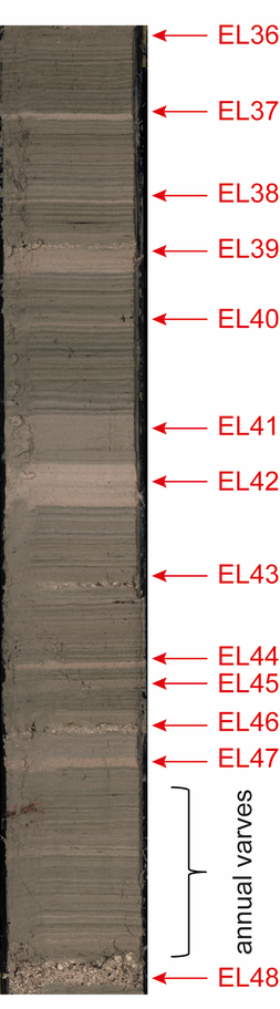 This is a very narrow image. It shows a drill core of sediments which show stripes of different thicknesses, colours and shades. This is a high-resolution photograph of the drill core from a depth of 100-140 cm and it shows the greenish-grey, fine-grained marine sediments with annual stratification and a total of 13 coarser-grained layers indicative of storms (EL36-47).

Photo: Schmitt et al. 2025; Supplementary Materials Science Advances 2025. Doi: 10.1126/sciadv.ads5624