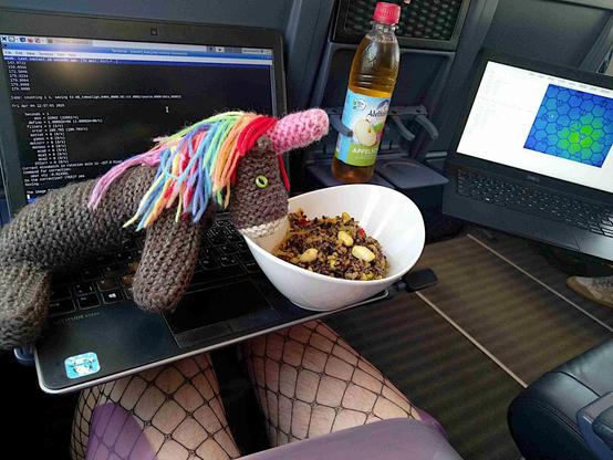 Max, das bunte Strickhorn, sitzt im Zug am Rand einer kleinen Schale mit Reissalat; im Hintergrund zwei Laptops, welche live Daten vom 3D-Röntgenmikroskop am Synchrotron zeigen. Unser kleiner Held verfolgt, wie das Mikroskop auf einen hochauflösenden Mess-Modus umjustiert wird. Vielleicht überlegt er sich gerade, welches Reiskorn er sich einmal ganz genau anschauen möc … ach ne, da hat die kleine Schneefräse schon alles weggeputzt ;)