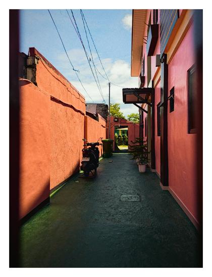A narrow alleyway between a wall on the left and an apartment on the right. The apartment has windows and there is an entrance with awning and potted plants in the center leading to the lobby of the building. 

Next to the entrance, there is a parked motorcycle leaning against the left wall. Further down the alley, there is a green trash bin. In the distance, the alley opens up to a backyard, and over there is a glimpse of another building.

The picture is framed by a dark red gate.