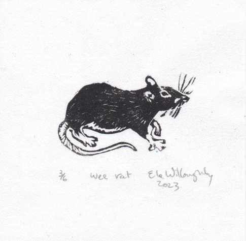 Tiny linocut print of a rat in profile in black on white. It is somewhat round, and looks inquisitive with its front left paw raised.