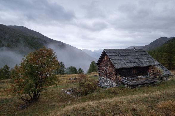 A rustic wooden cabin in a misty mountainous landscape with a colorful tree in the foreground.