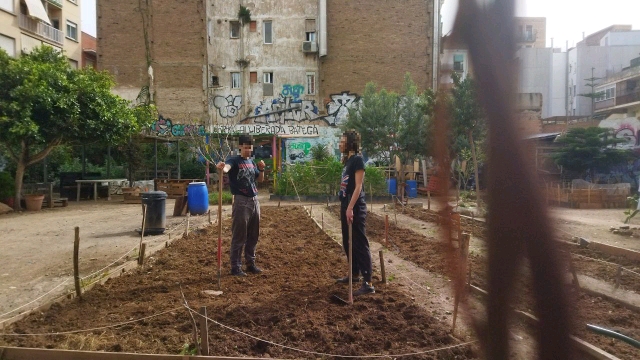 Foto de dues persones sobre un bancal abonat.