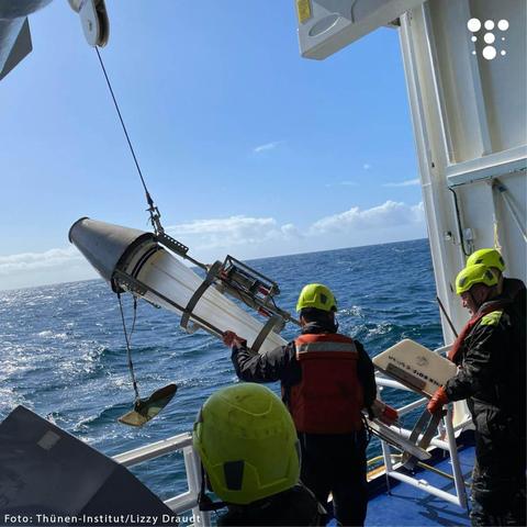 Drei Besatzungsmitglieder eines Forschungsschiffs, erkennbar an ihren gelben Schutzhelmen, Schwimmwesten und Arbeitskleidung, setzen ein großes wissenschaftliches Messgerät ins Meer. Das Gerät ist zylindrisch, mit Metallrahmen und durchsichtigen Rohren versehen, und wird mithilfe eines Krans über die Reling gehoben. Der Hintergrund zeigt den offenen Ozean mit kleinen Wellen und einen teils bewölkten Himmel.  Foto-Credit: Thünen-Institut/Lizzy Draudt.
