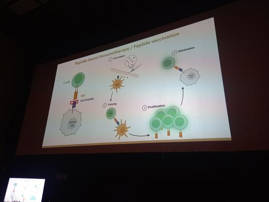 Overview of the steps in vaccination