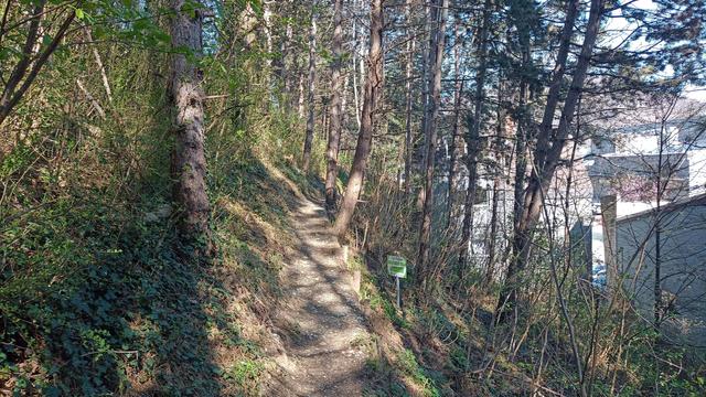 Ein Weg im Hang