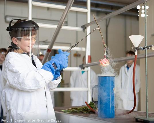 Ein Junge im Laborkittel und Gesichtschutz hält mit einer Zange eine Rose über einem langen, blauen Glasgefäß. Aus dem Gefäß steigt weißer Dampf auf.