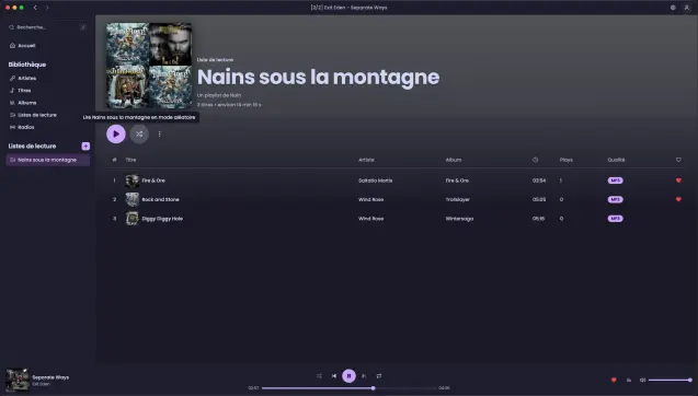 Sccreenshot de ma Playlist Nains sous la Montagne : une playlist pour nain sur Navidrome, avec pour commencer Fire & Ore de Saltatio Mortis puis Rock and Stone et Diggy diggy Hole de Windrose