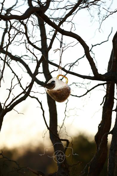 A chipping sparrow eats from a bird feeder hanging in a tree.