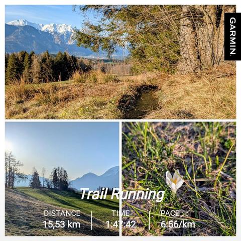 A scenic photo collage from my trail run near mountain Patscherkofel in Tyrol, Austria. The top image shows a mountain landscape with the snow-capped peaks of mounts Bettelwurf and Hochglück in the background, a small stream running through dried grass, and evergreen trees. The bottom left image features rolling green hills with trees and mountains in the distance under a clear blue sky. The bottom right image showcases a delicate white crocus vernus flower with yellow center blooming among early spring grass.
