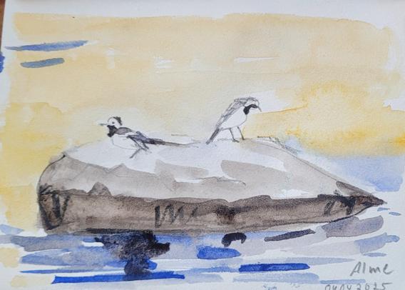 Aquarellskizze: ein großer Stein im Wasser,  2 kleine schwarz-weiße Vögel darauf