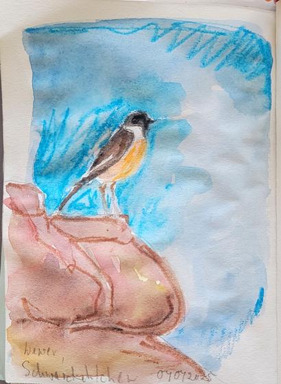 Aquarellskizze: ein kleiner Vogel auf einem First vor hellblauem Himmel, der Vogel hat einen schwarzen Kopf und orangen Bauch