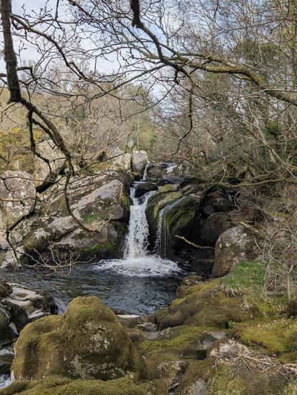 Waterfall and a pool below.
Mossy covered stones in the foreground.
Bits of trees around