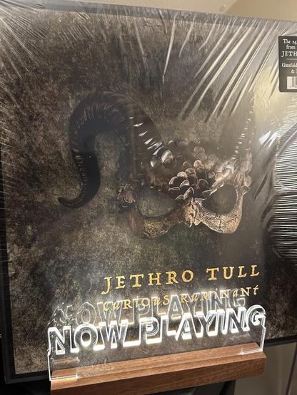 Curious Ruminant by Jethro Tull, front cover, in the now playing stand.