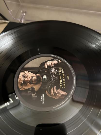 Curious ruminant vinyl on the turntable.