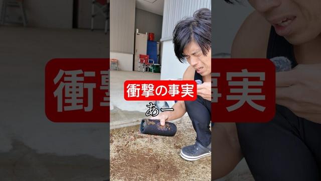 【業界激震】JBL FLIP 7衝撃の事実！もう他のスピーカーには戻れない #PR #JBL #JBLFLIP7 #JBLCHARGE6