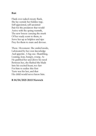 Bait
Flank over naked sweaty flank,
She lay outside her hidden trap,
Self-appointed, self-anointed
Bait for the predators that would
Arrive with the spring warmth,
The new breeze carrying the musk
Of her ready scent to them, to
Serve her up as helpless and ripe
Prey for them to mate and devour.
There. Movement. She smiled inside,
Lubricated by her own knowledge
And appetite. A big one. Shambling,
Leaning, lean, hungry, young. As
He grabbed her and drove his need
Between her, she flashed the blade
Into his excited heart, too fast
For him to realise this first
Taste was his last, and that
His child would never know him.
R 04/04/2025 20:03 Norwich