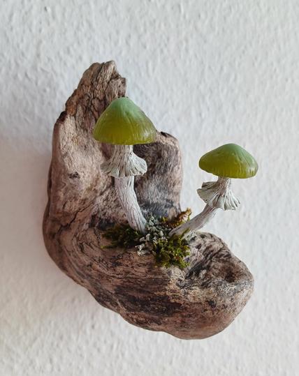 A brown driftwood with two green artificial mushrooms growing on it. The hats of the mushrooms are green, the stems white. Moss is growing by the stems. The background is a white wall.