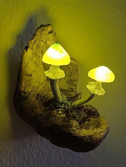 The same driftwood and mushrooms but in the dark. The mushrooms are lamps and they glow yellow-green.