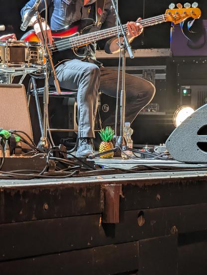 The bassist has what appears to be a plastic pineapple at his feet