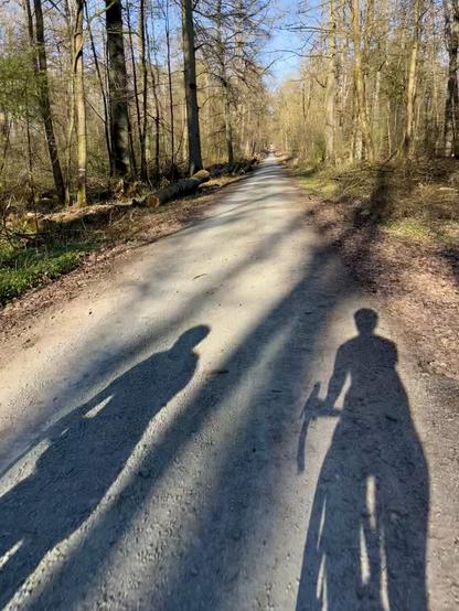 Seen from behind: The shadows of two bike riders on a gravel path in the forest.