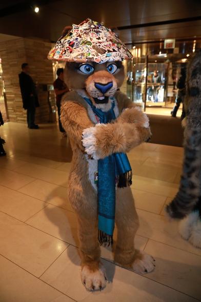 Lioness fursuiter wearing hat covered in stickers