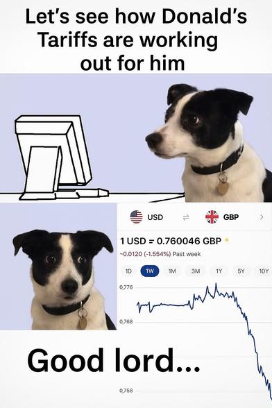 A meme. The top half shows a dog looking at a display screen captioned “Let's see how Donald's Tariffs are working out for him.”

The bottom half shows the dog looking wide eyed with a chart showing the US dollar falling dramatically next to the Great Britain Pound. The caption is “Good Lord.”