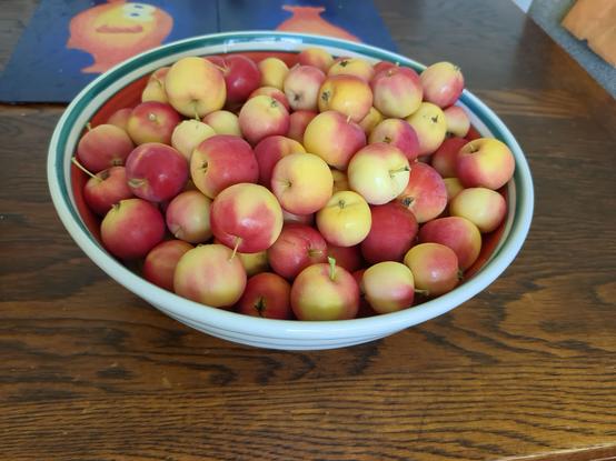 A large china bowl sits on a wooden tabletop, piled high with crabapples. They are 3-4cm across, yellow flushed with varying degrees of red.