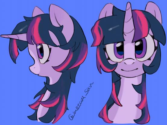 2 half-body drawings of Twilight Sparkle from My Little Pony.