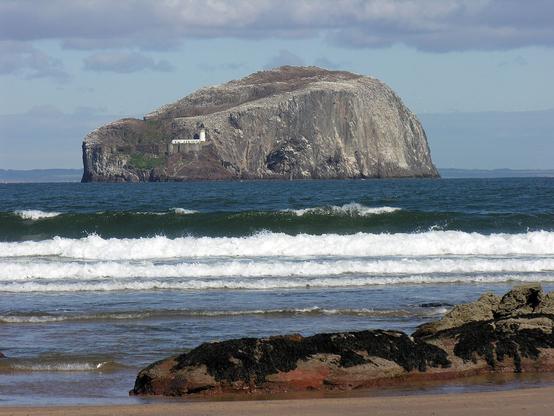 Bass Rock seen from the superb beach at Seacliff in East Lothian. The image shows a large rocky island in the middle distance with a lighthouse on the left-hand front face. There are waves breaking nearer the viewer and in the foreground is a strip of beach and a low outcrop of reddish rock.
