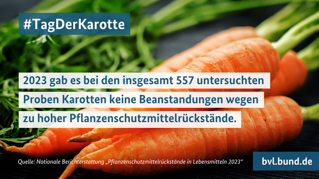 #TagDerKarotte: 2023 gab es bei den insgesamt 557 untersuchten Proben Karotten keine Beanstandungen wegen 
zu hoher Pflanzenschutzmittelrückstände. Quelle: Nationale Berichterstattung „Pflanzenschutzmittelrückstände in Lebensmitteln 2023“