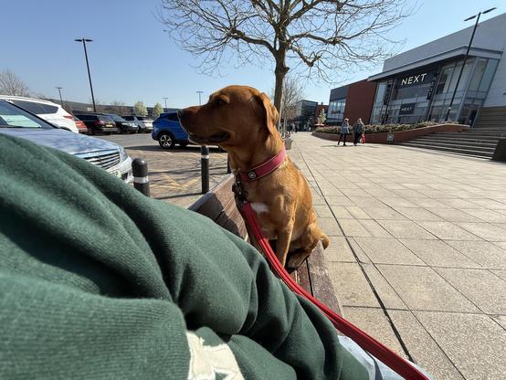 Ted sat on a bench in town