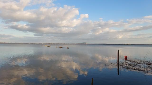 A look across the Steinhuder Meer in Mardorf