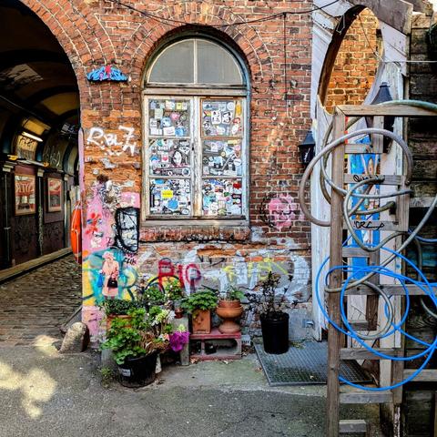 Fenster in einer Gebäudewand, oben gerundet. Auf dem Boden davor Topfpflanzen. Links ein Gang, der zur Straße aus dem Gängeviertel heraus führt.