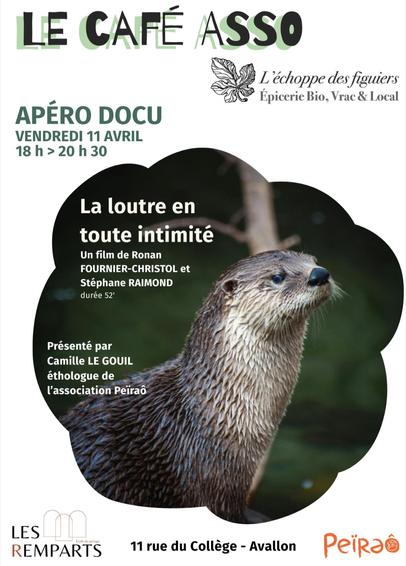 Affiche du documentaire sur les loutres