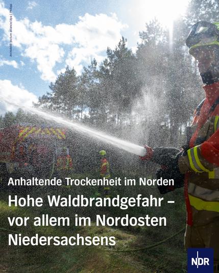 Foto: Archivbild von einer Feuerwehrübung im Wald 
Text: Anhaltende Trockenheit im Norden; Hohe Waldbrandgefahr - vor allem im Nordosten Niedersachsens